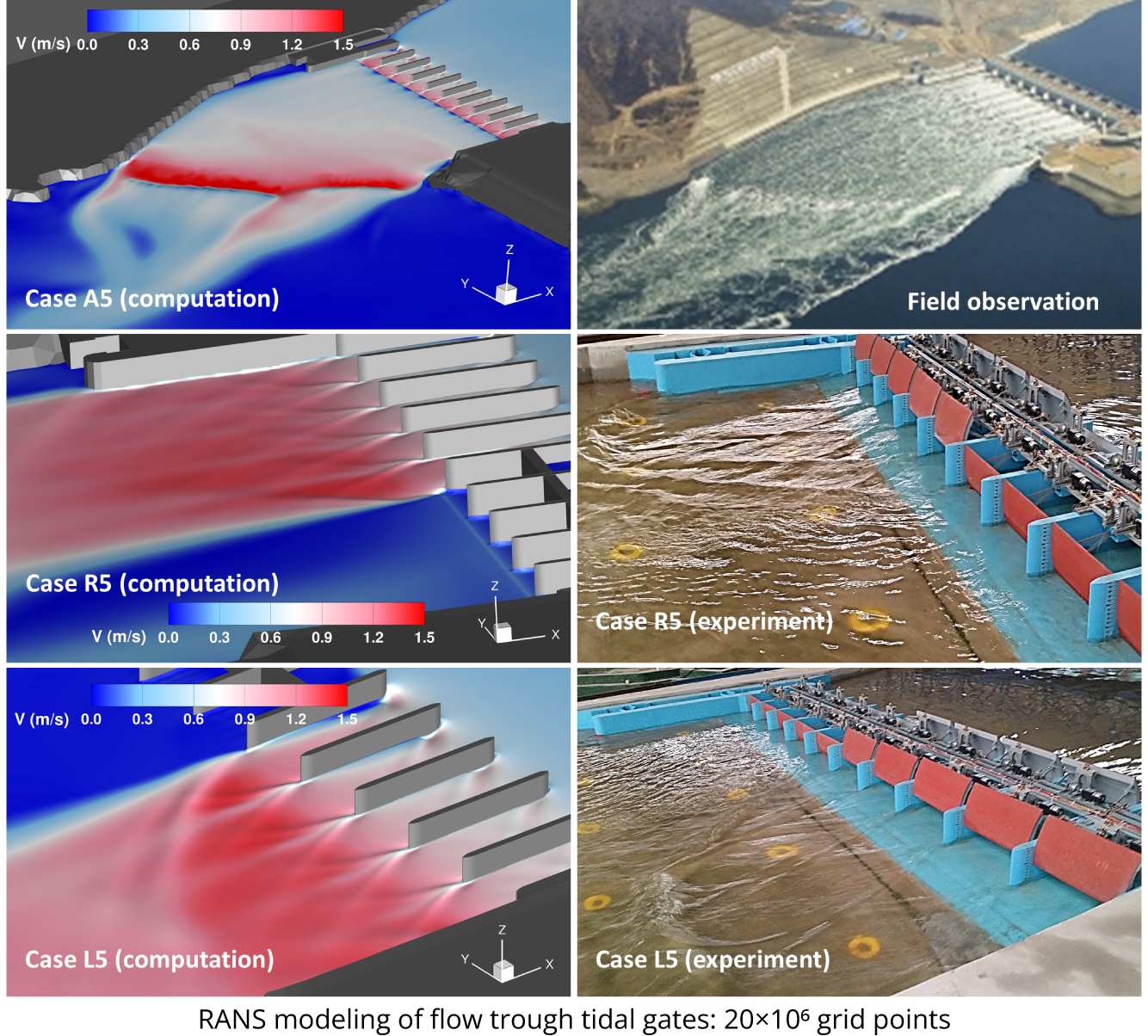 Flow through partially tidal gates